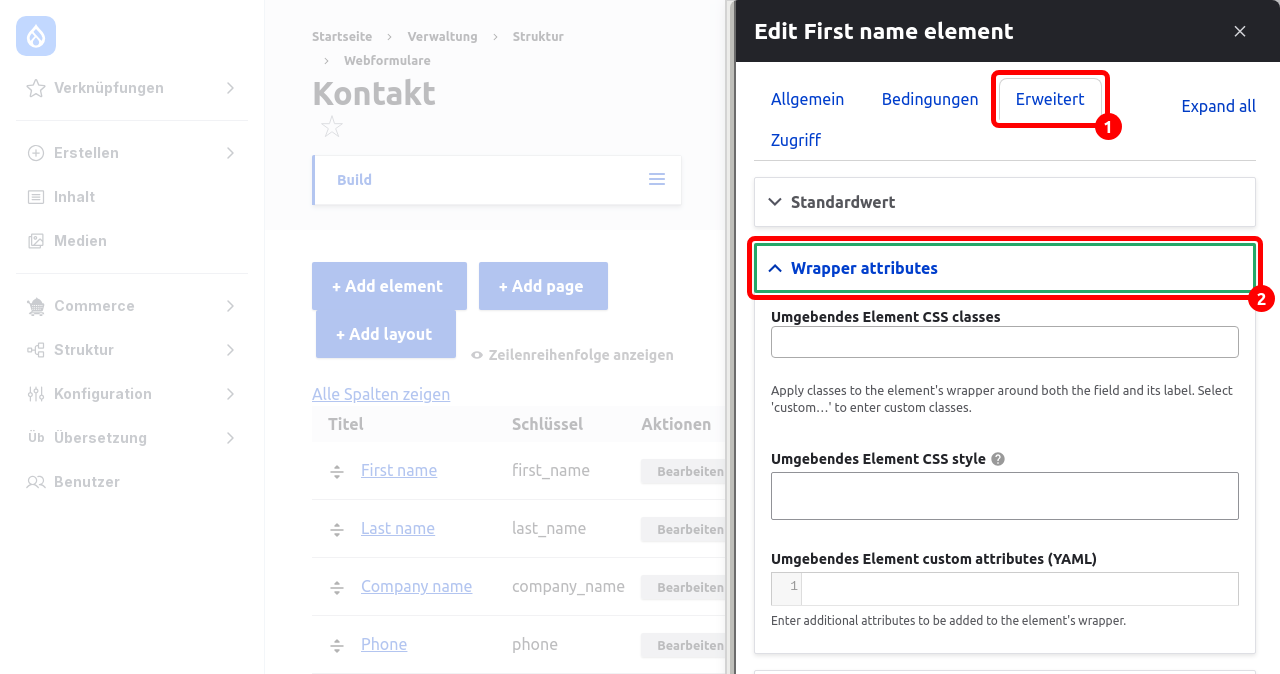 Forms ElementAdvancedSettings