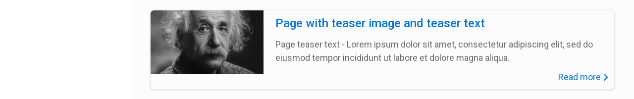 Reference FrontendView